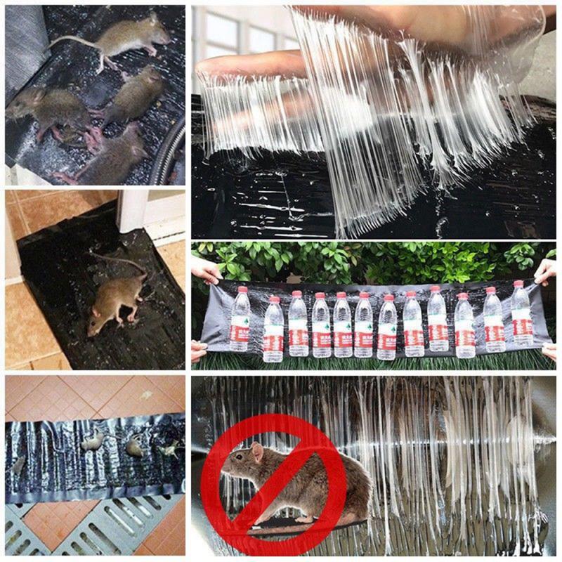 Rat Killer Glue Mat, Lizards, Snakes & Cockroach killer Glue Mats - Trustio shop